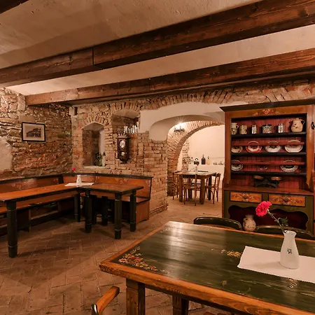 Traube Hotel Mediaş