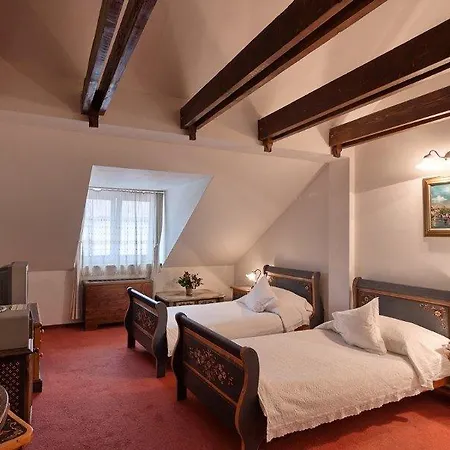 Traube Hotel Mediaş