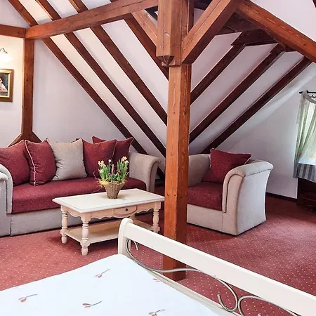 Traube Hotel 3*